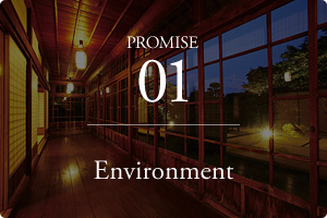 PROMISE01 Environment