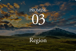 PROMISE03 Region